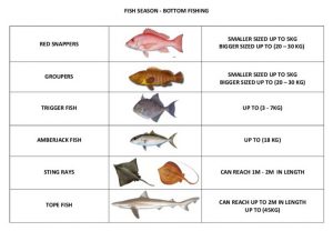 Fish Season Madeira - Bottom Fishing