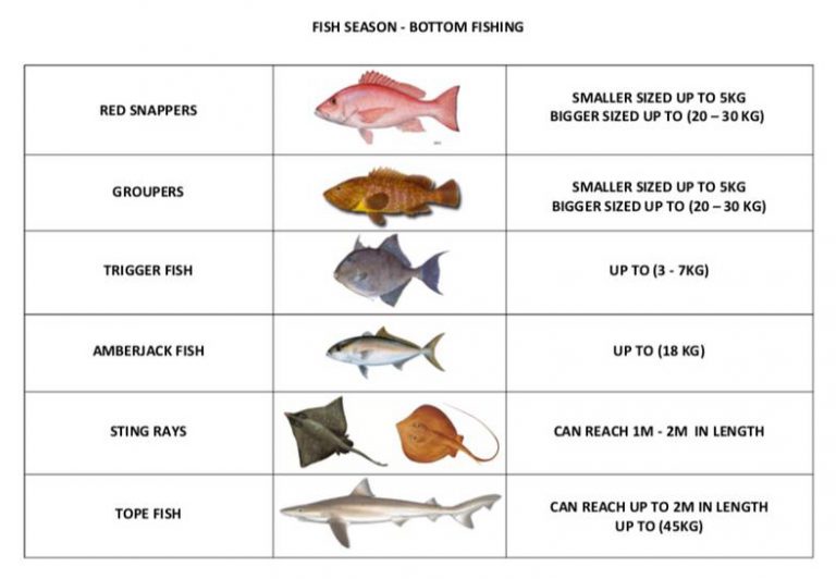 Fishing Calendar Our Mary